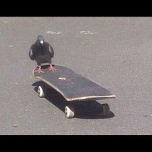 Meet your Posher, Bianca